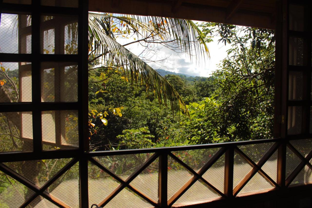 Bed and Breakfast Casa Horizontes Corcovado Дрейк Екстер'єр фото