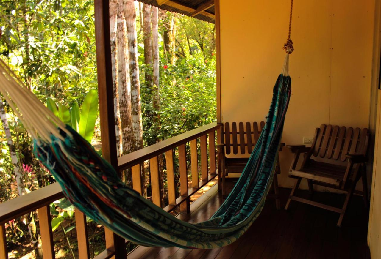 Bed and Breakfast Casa Horizontes Corcovado Дрейк Екстер'єр фото