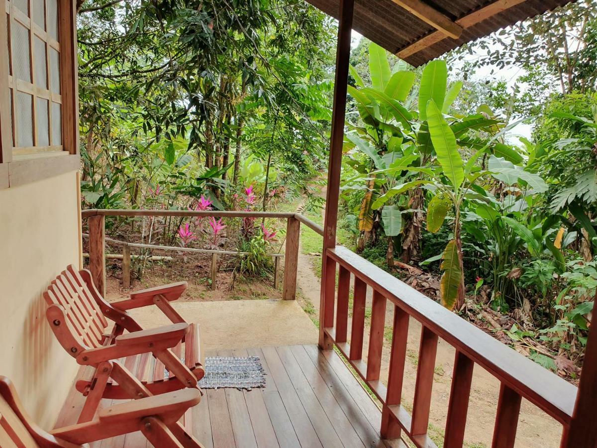 Bed and Breakfast Casa Horizontes Corcovado Дрейк Екстер'єр фото